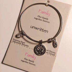 Unwritten Family charm bracelet